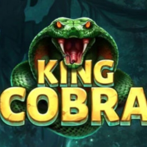 King Cobra